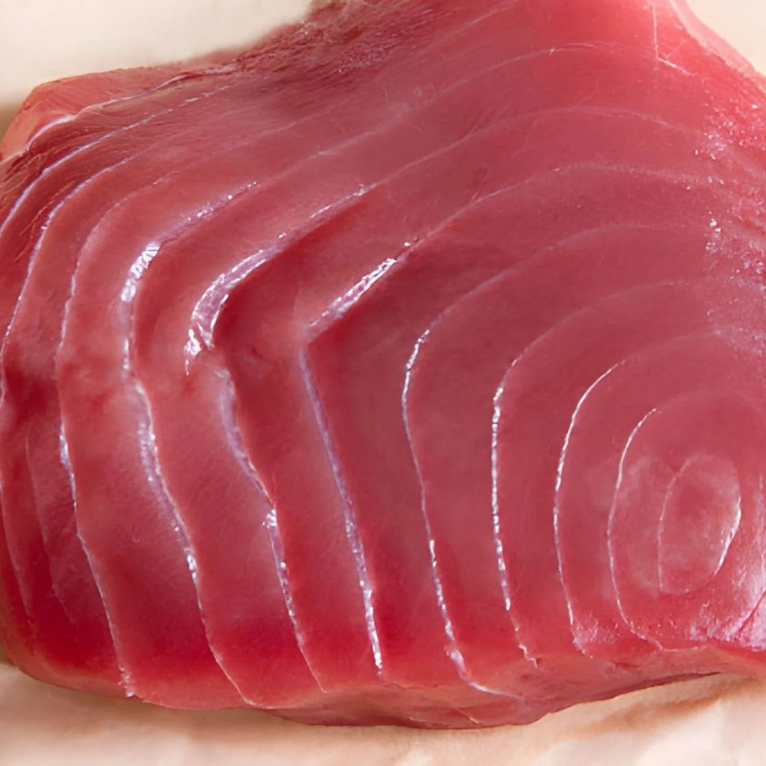 TUNA FISH SKIN / BONE LESS